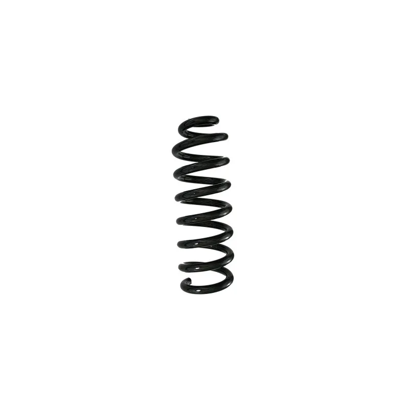Ressort de suspension SPIDAN 88258