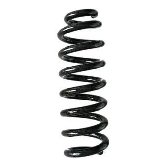 Ressort de suspension SPIDAN 88259