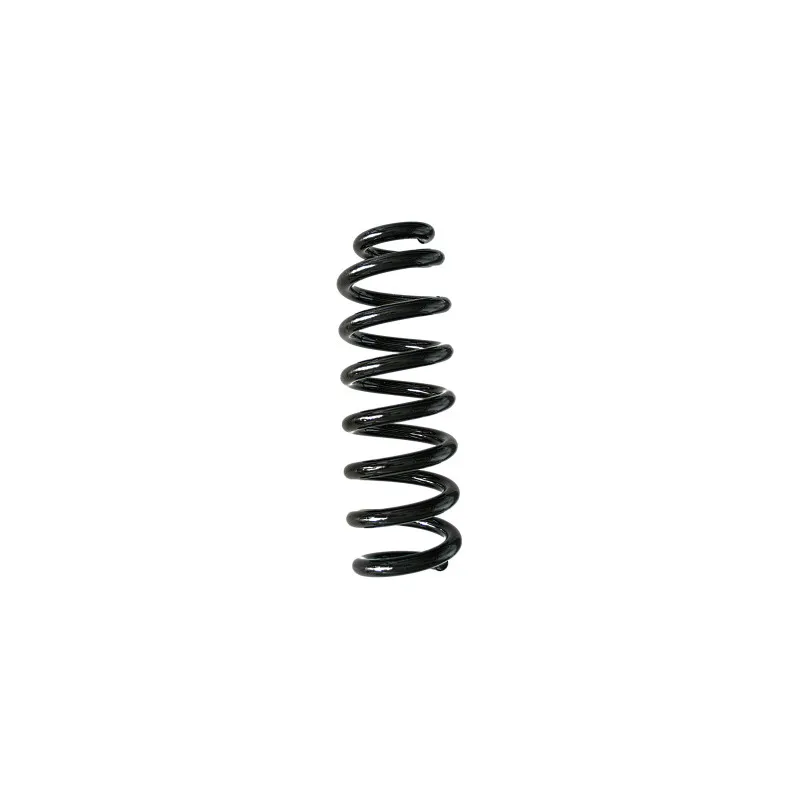 Ressort de suspension SPIDAN 88259