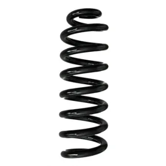 Ressort de suspension SPIDAN 88260