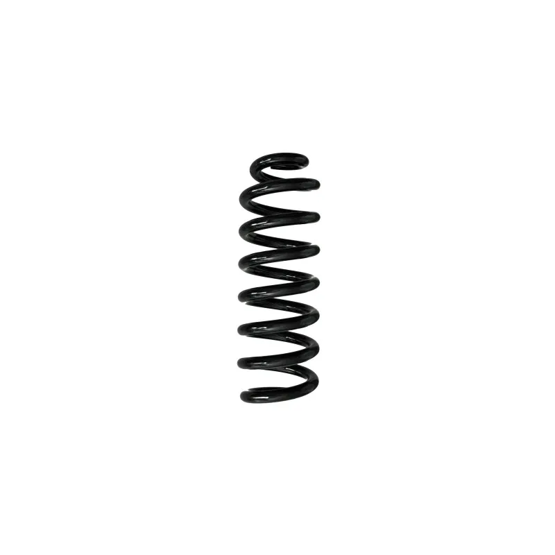 Ressort de suspension SPIDAN 88260