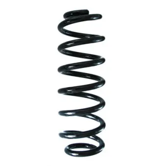 Ressort de suspension SPIDAN 88270