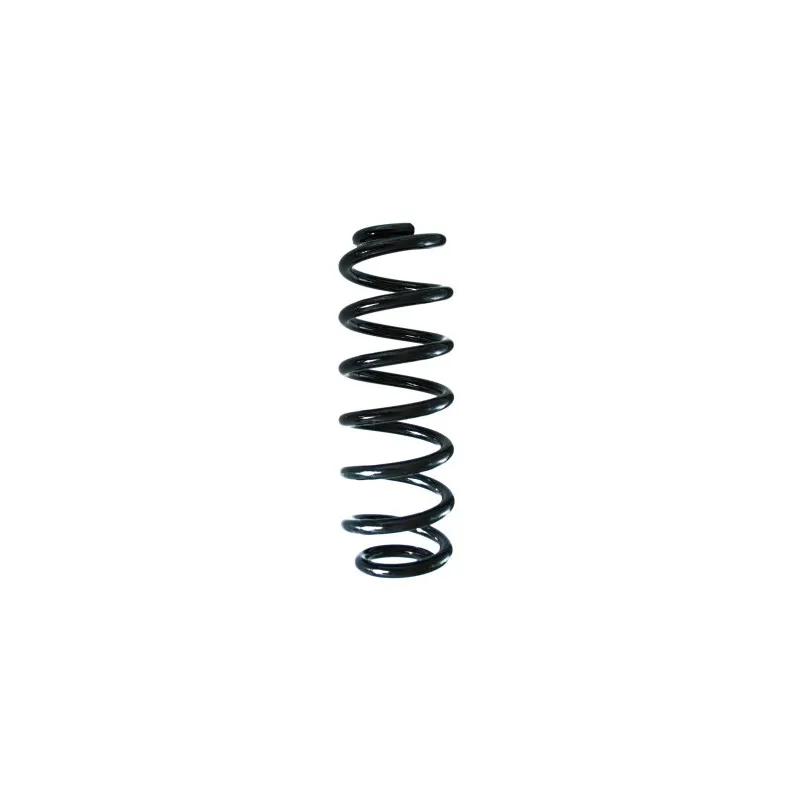 Ressort de suspension SPIDAN 88270