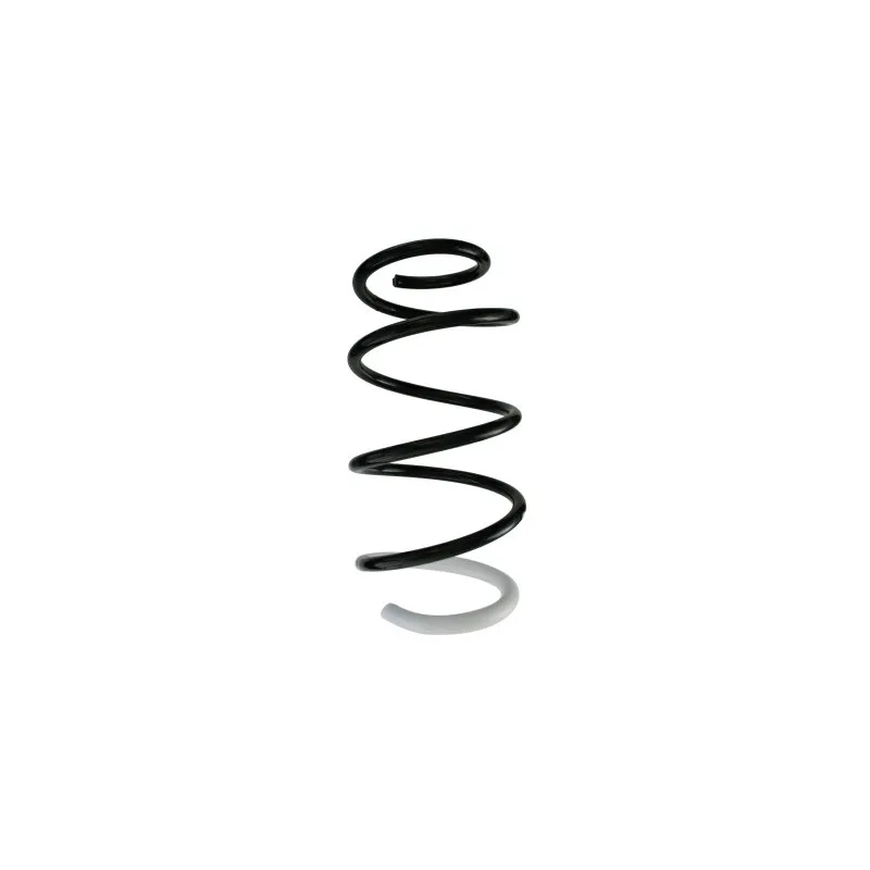 Ressort de suspension SPIDAN 88296