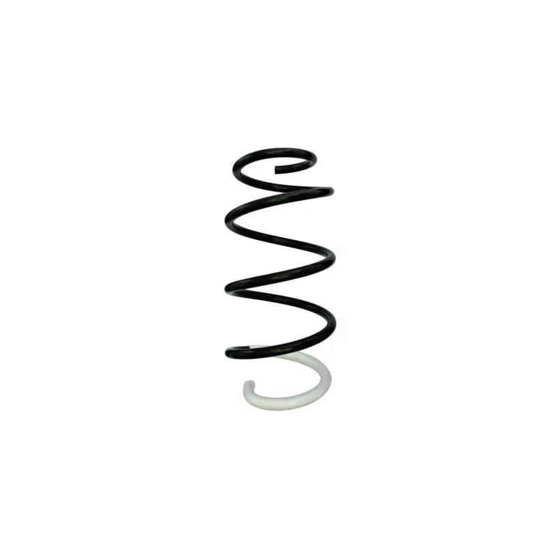 Ressort de suspension SPIDAN 88297