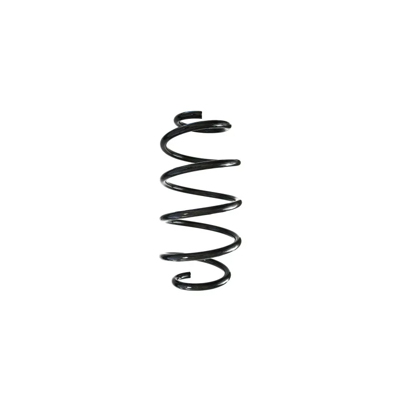 Ressort de suspension SPIDAN 88301