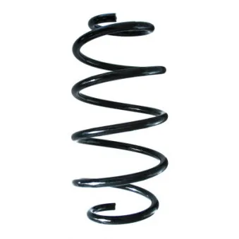 Ressort de suspension SPIDAN 88302