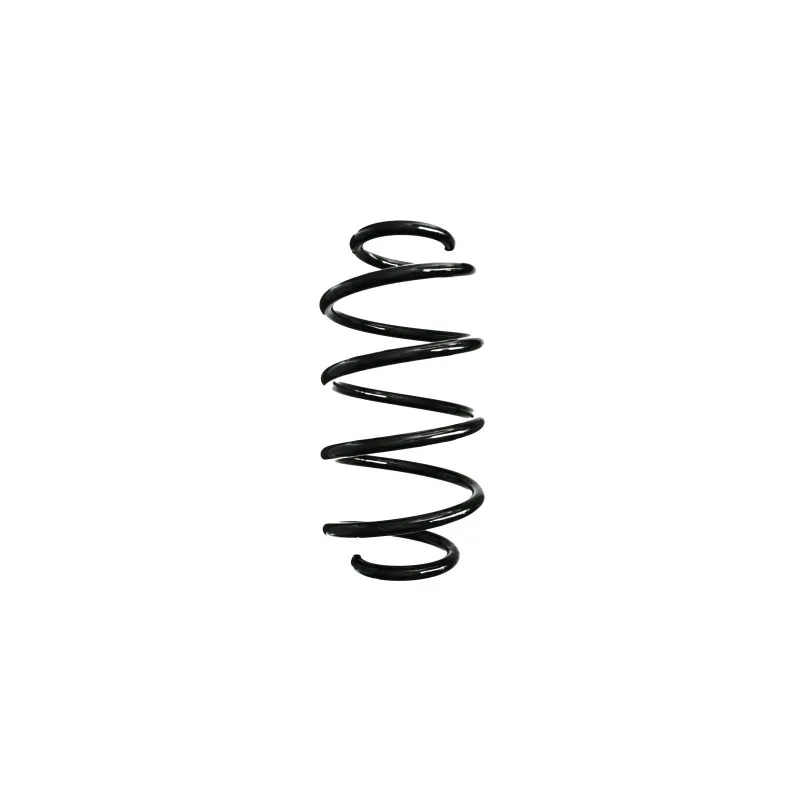 Ressort de suspension SPIDAN 88306
