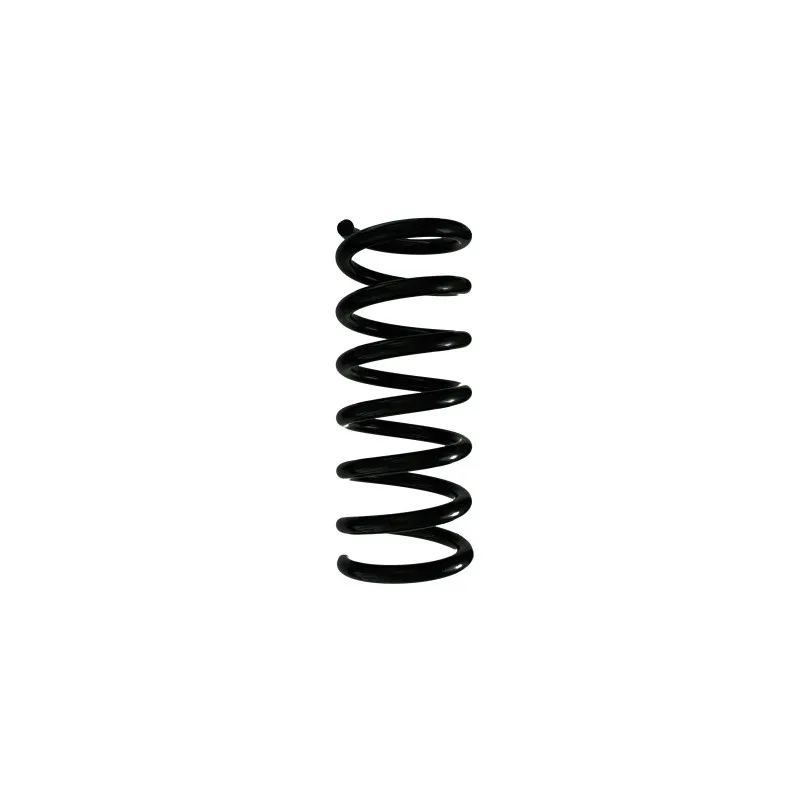 Ressort de suspension SPIDAN 88307