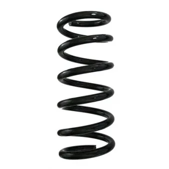 Ressort de suspension SPIDAN 88308