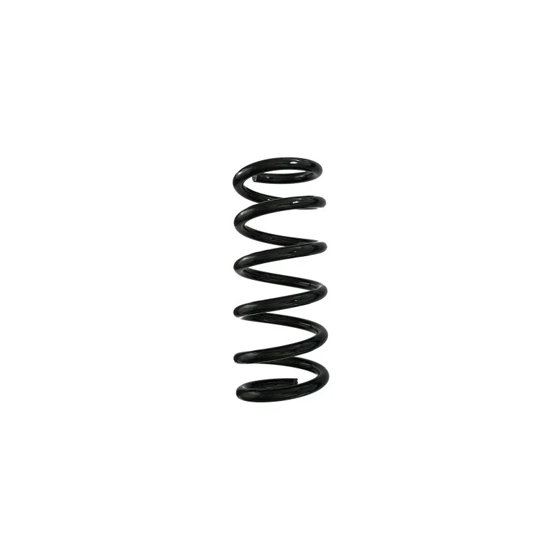 Ressort de suspension SPIDAN 88308