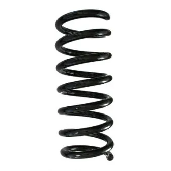Ressort de suspension SPIDAN 88309