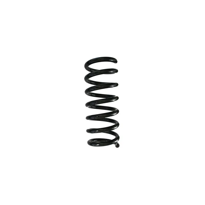 Ressort de suspension SPIDAN 88309