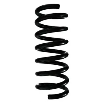 Ressort de suspension SPIDAN 88310