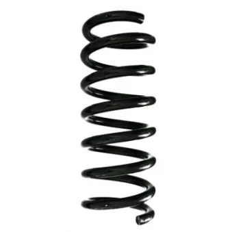 Ressort de suspension SPIDAN 88312