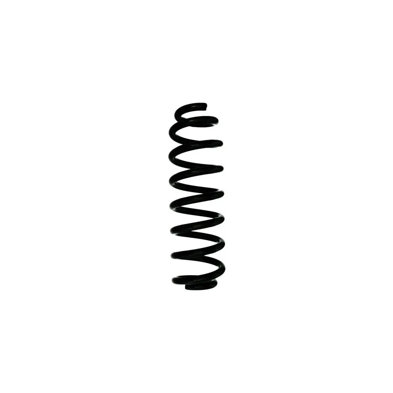 Ressort de suspension SPIDAN 88317