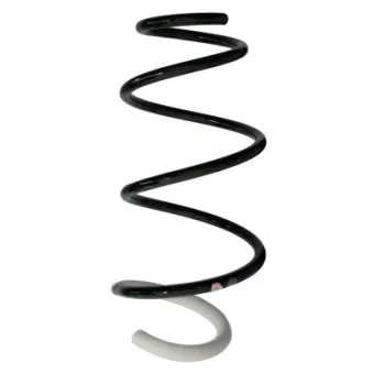 Ressort de suspension SPIDAN 88325