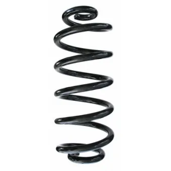 Ressort de suspension SPIDAN 88329