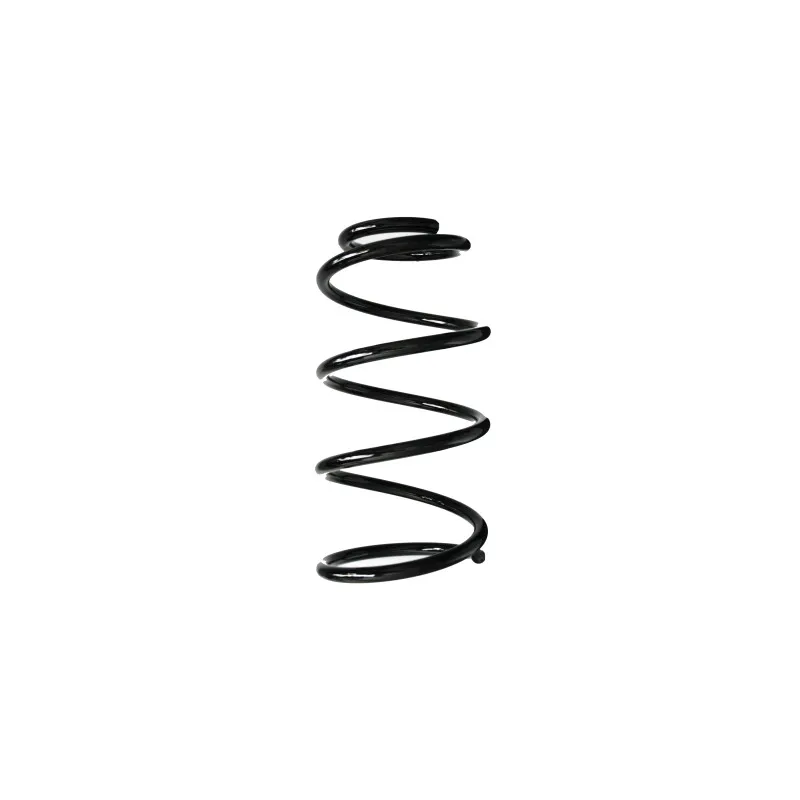 Ressort de suspension SPIDAN 88330