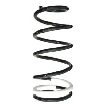 Ressort de suspension SPIDAN 88332