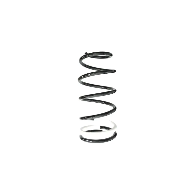 Ressort de suspension SPIDAN 88333