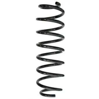 Ressort de suspension SPIDAN 88334