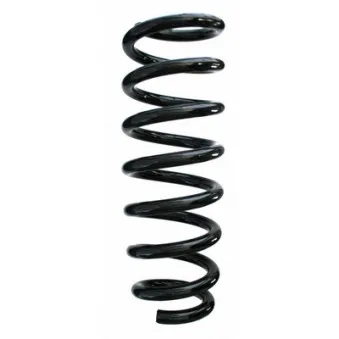 Ressort de suspension SPIDAN 88335