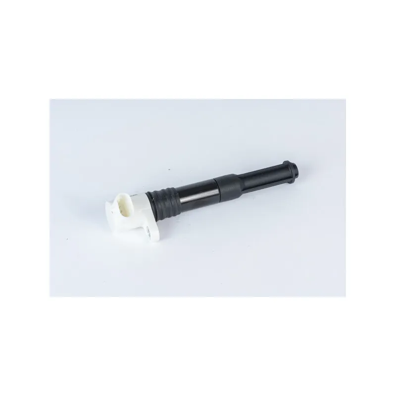 Bobine d'allumage BERU ZSE219