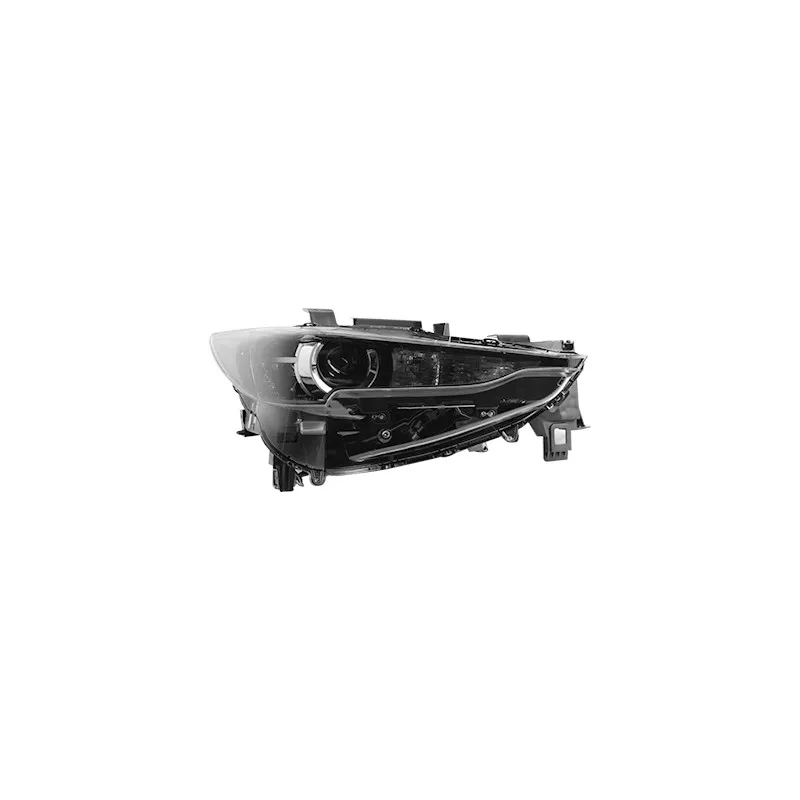 Projecteur principal VAN WEZEL 2773964