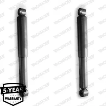 Jeu de 2 amortisseurs arrière MONROE D4484