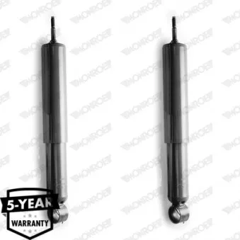 Jeu de 2 amortisseurs arrière MONROE D8019
