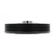 Poulie, vilebrequin CORTECO 80005017 - Visuel 2
