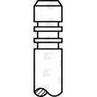 Soupape d'échappement AE V95217 - Visuel 2