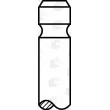 Soupape d'échappement AE V95225 - Visuel 2