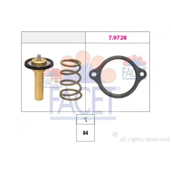 Thermostat, liquide de refroidissement FACET