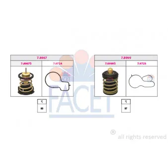 Thermostat, liquide de refroidissement FACET