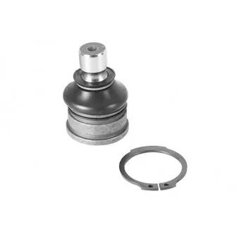 Rotule de suspension AISIN JBJFD-013