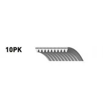 Courroie trapézoïdale à nervures GATES 10PK1005ES