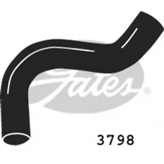 Durite de radiateur GATES 3798