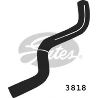 Durite de radiateur GATES 3818
