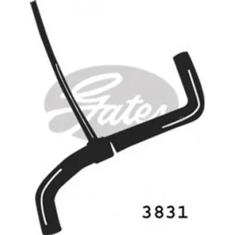 Durite de radiateur GATES 3831