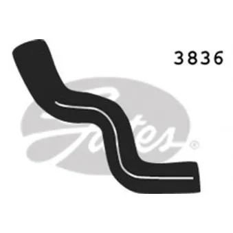 Durite de radiateur GATES 3836