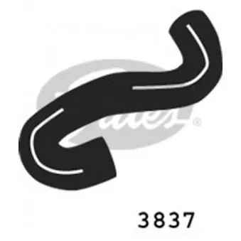 Durite de radiateur GATES 3837