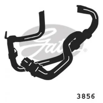 Durite de radiateur GATES 3856