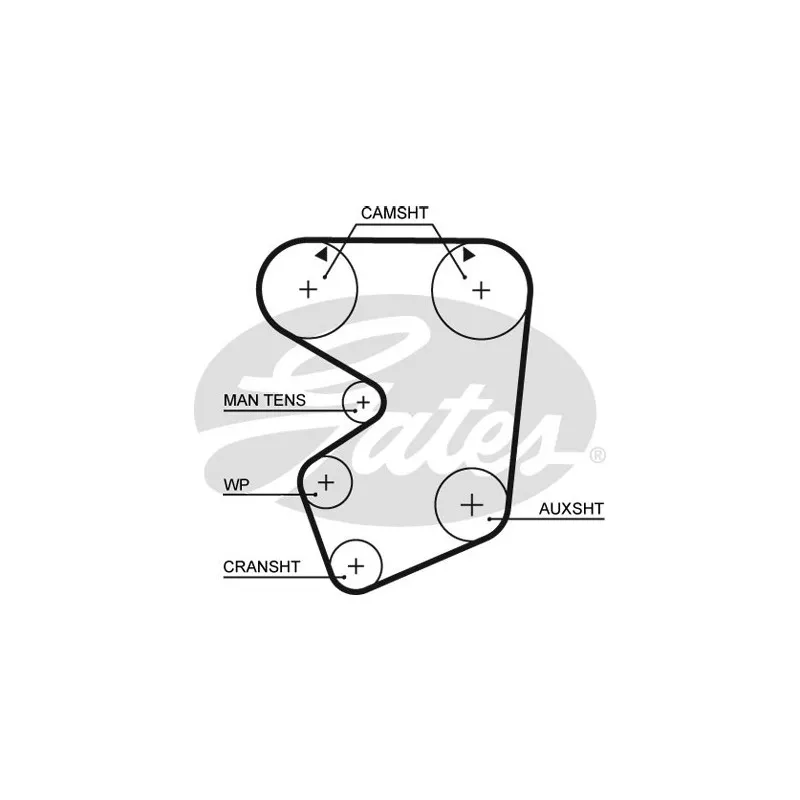 Courroie crantée GATES 5013