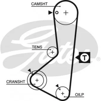 Courroie crantée GATES