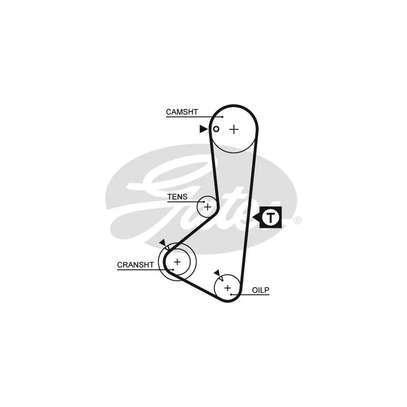 Courroie crantée GATES 5075XS