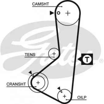 Courroie crantée GATES 5110