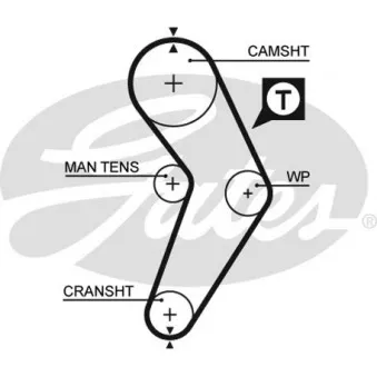 Courroie crantée GATES 5192XS