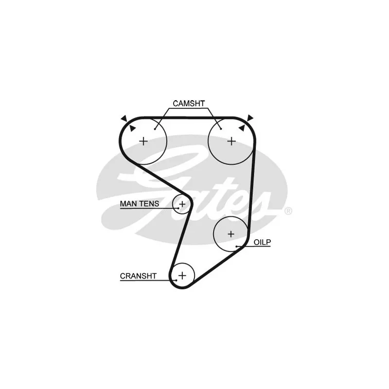 Courroie crantée GATES 5196